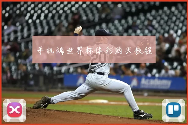 手机端世界杯体彩购买教程