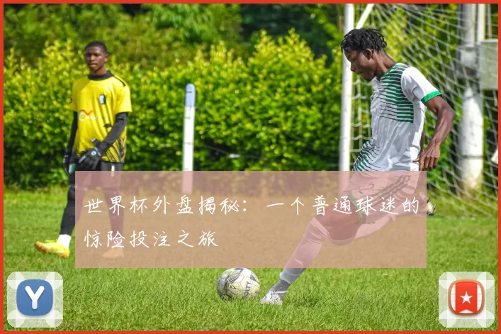世界杯外盘揭秘：一个普通球迷的惊险投注之旅