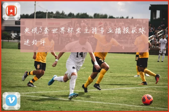 央视5套世界杯女主持专业播报获球迷好评