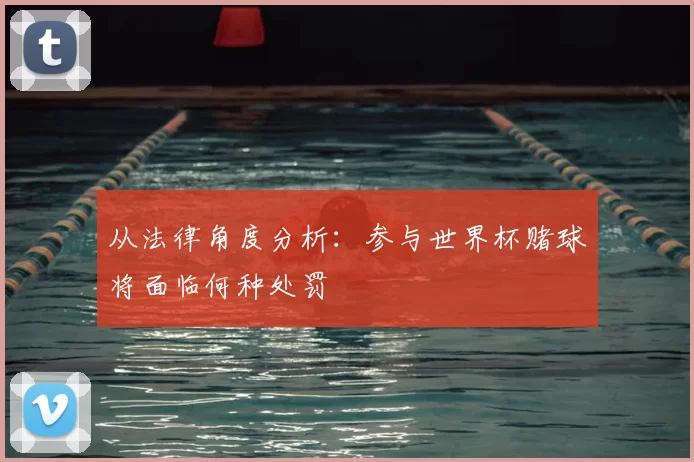 从法律角度分析:参与世界杯赌球将面临何种处罚