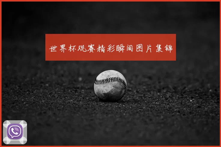 世界杯观赛精彩瞬间图片集锦