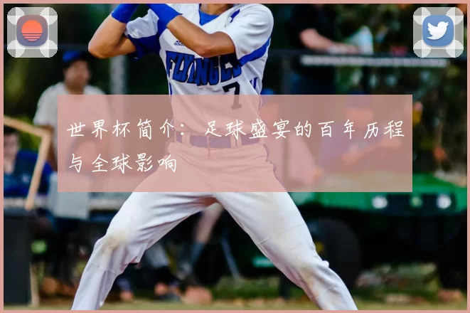 世界杯简介:足球盛宴的百年历程与全球影响