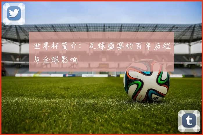 世界杯简介：足球盛宴的百年历程与全球影响
