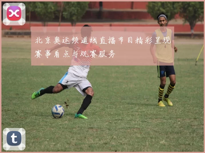 北京奥运频道线直播节目精彩呈现赛事看点与观赛服务