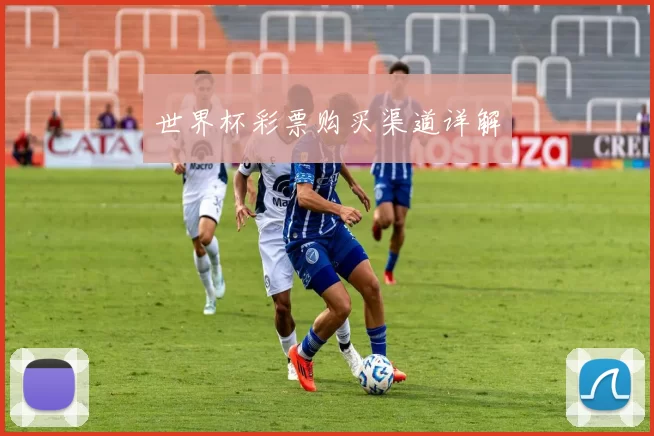 世界杯彩票购买渠道详解