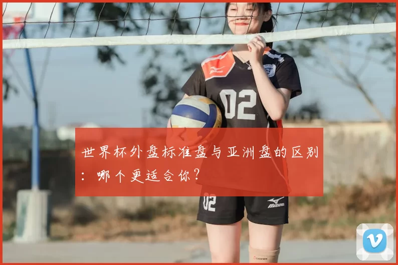 世界杯外盘标准盘与亚洲盘的区别:哪个更适合你?