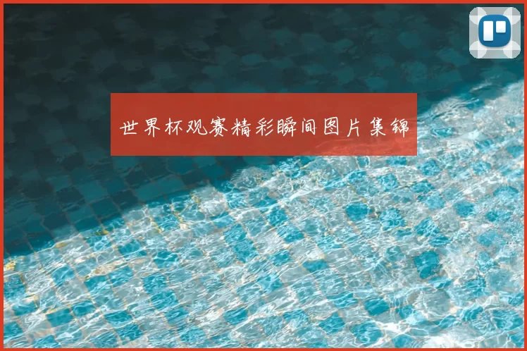 世界杯观赛精彩瞬间图片集锦