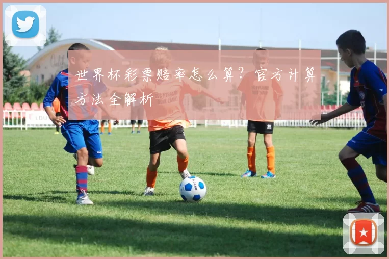世界杯彩票赔率怎么算？官方计算方法全解析